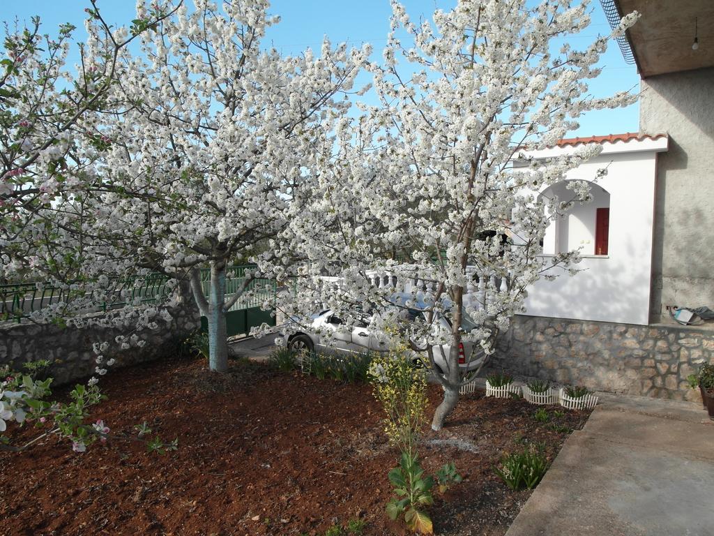 Apartment Antonio Šibenik Екстериор снимка