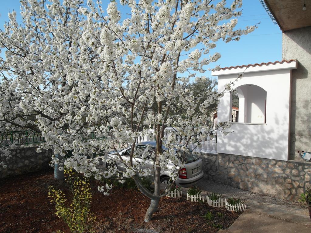 Apartment Antonio Šibenik Екстериор снимка
